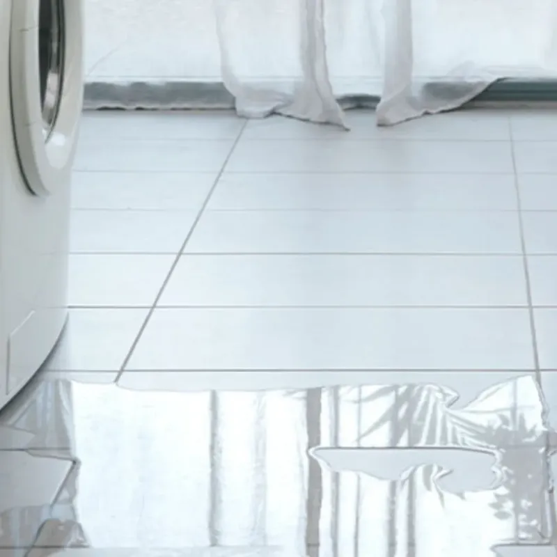 Appliance Leak Cleanup in Micco, FL